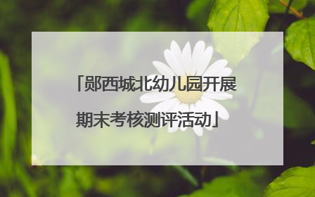 郧西城北幼儿园开展期末考核测评活动