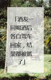 酒友一同喝酒后各自驾车回家，结果都被抓了