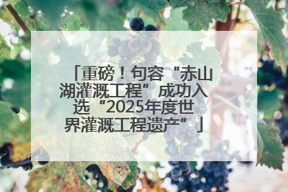 重磅！句容“赤山湖灌溉工程”成功入选“2025年度世界灌溉工程遗产”