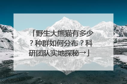 野生大熊猫有多少？种群如何分布？科研团队实地探秘→