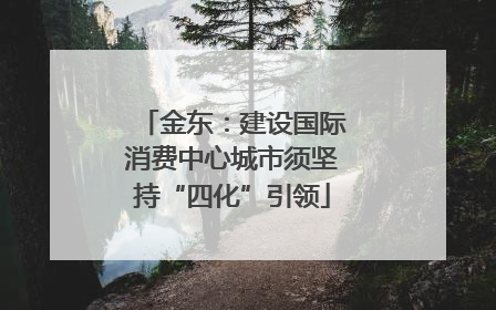 金东：建设国际消费中心城市须坚持“四化”引领