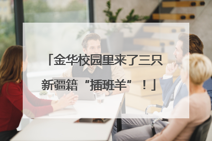 金华校园里来了三只新疆籍“插班羊”！