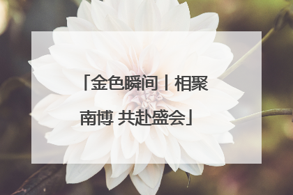 金色瞬间丨相聚南博 共赴盛会