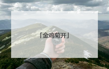 金鸡菊开