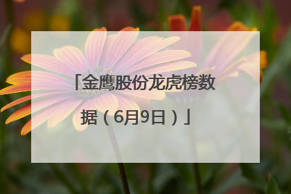 金鹰股份龙虎榜数据（6月9日）