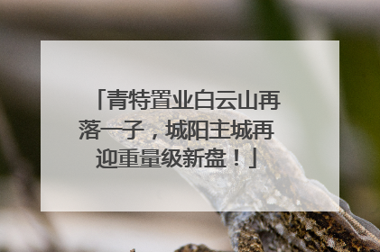 青特置业白云山再落一子，城阳主城再迎重量级新盘！