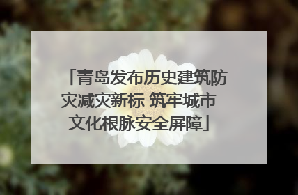 青岛发布历史建筑防灾减灾新标 筑牢城市文化根脉安全屏障