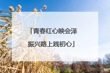 青春红心映会泽 振兴路上践初心