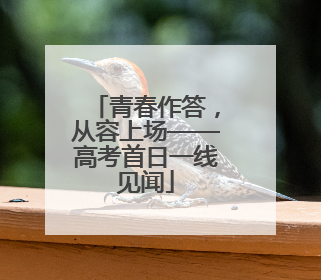 青春作答，从容上场——高考首日一线见闻