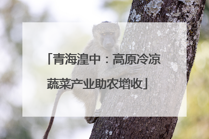 青海湟中：高原冷凉蔬菜产业助农增收
