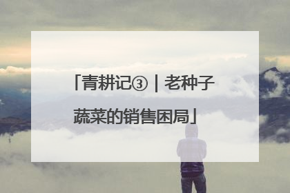 青耕记③｜老种子蔬菜的销售困局