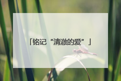 铭记“清澈的爱”