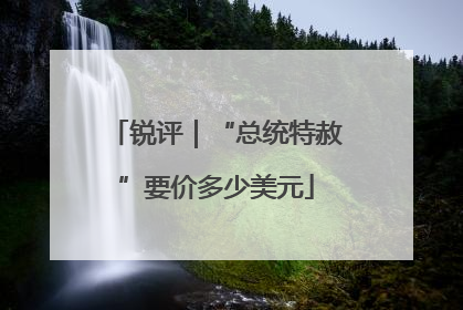 锐评｜“总统特赦”要价多少美元