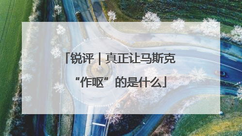 锐评｜真正让马斯克“作呕”的是什么
