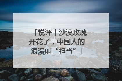 锐评｜沙漠玫瑰开花了，中国人的浪漫叫“担当”