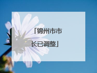 锦州市市长已调整
