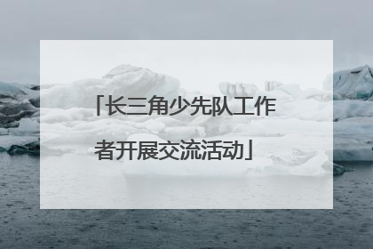 长三角少先队工作者开展交流活动