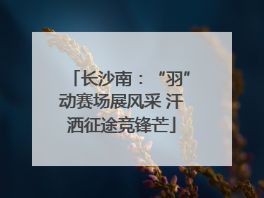 长沙南：“羽”动赛场展风采 汗洒征途竞锋芒