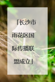 长沙市雨花区国际传播联盟成立