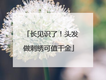 长见识了！头发做刺绣可值千金