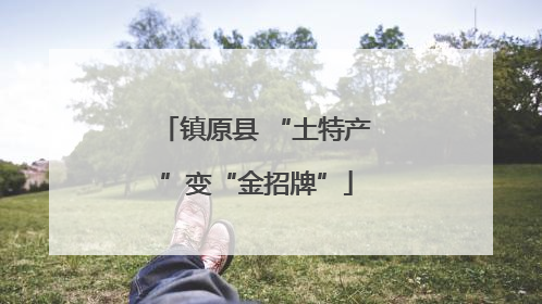 镇原县 “土特产”变“金招牌”