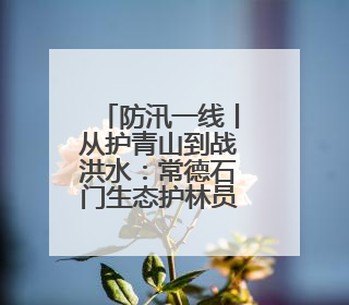 防汛一线丨从护青山到战洪水：常德石门生态护林员开启“双重守护”模式