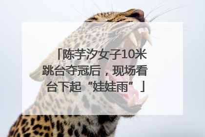 陈芋汐女子10米跳台夺冠后，现场看台下起“娃娃雨”
