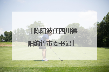 陈阳波任四川德阳绵竹市委书记