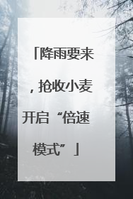 降雨要来，抢收小麦开启“倍速模式”