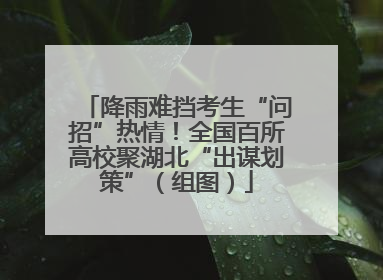 降雨难挡考生“问招”热情！全国百所高校聚湖北“出谋划策”（组图）