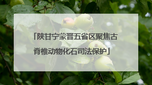 陕甘宁蒙晋五省区聚焦古脊椎动物化石司法保护