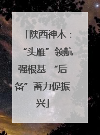 陕西神木：“头雁”领航强根基 “后备”蓄力促振兴