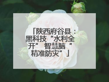 陕西府谷县：黑科技“水利全开” 智慧脑“精准防灾”