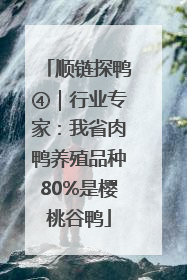 顺链探鸭④｜行业专家：我省肉鸭养殖品种80%是樱桃谷鸭