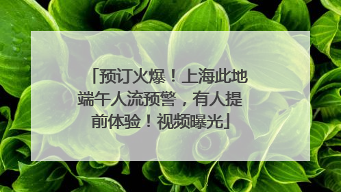 预订火爆！上海此地端午人流预警，有人提前体验！视频曝光