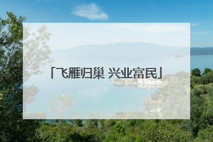 飞雁归巢 兴业富民