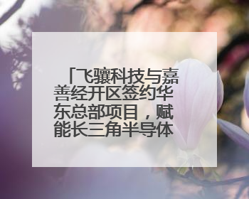 飞骧科技与嘉善经开区签约华东总部项目，赋能长三角半导体发展