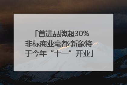 首进品牌超30% 非标商业亳都·新象将于今年“十一”开业