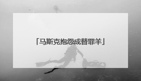 马斯克抱怨成替罪羊