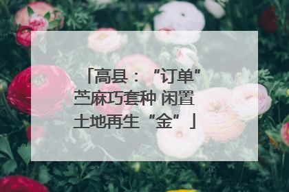 高县：“订单”苎麻巧套种 闲置土地再生“金”