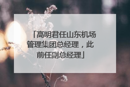 高明君任山东机场管理集团总经理，此前任副总经理