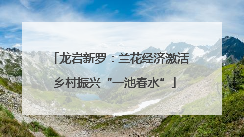 龙岩新罗：兰花经济激活乡村振兴“一池春水”