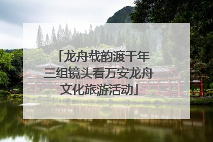 龙舟载韵渡千年 三组镜头看万安龙舟文化旅游活动
