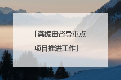 龚振宙督导重点项目推进工作