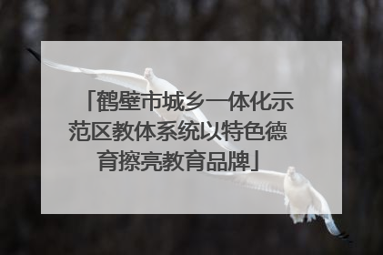鹤壁市城乡一体化示范区教体系统以特色德育擦亮教育品牌
