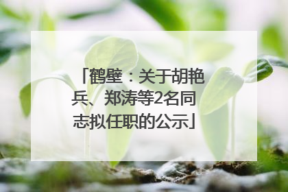 鹤壁：关于胡艳兵、郑涛等2名同志拟任职的公示