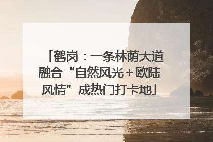 鹤岗：一条林荫大道融合“自然风光＋欧陆风情”成热门打卡地