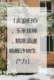 麦浪归仓，玉米接棒，精准滴灌唤醒沙地生产力