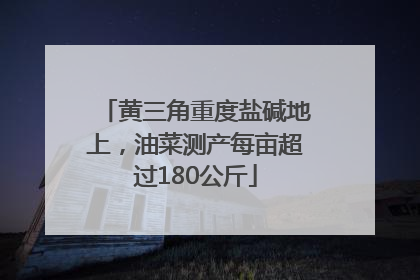 黄三角重度盐碱地上，油菜测产每亩超过180公斤