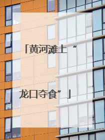 黄河滩上“龙口夺食”